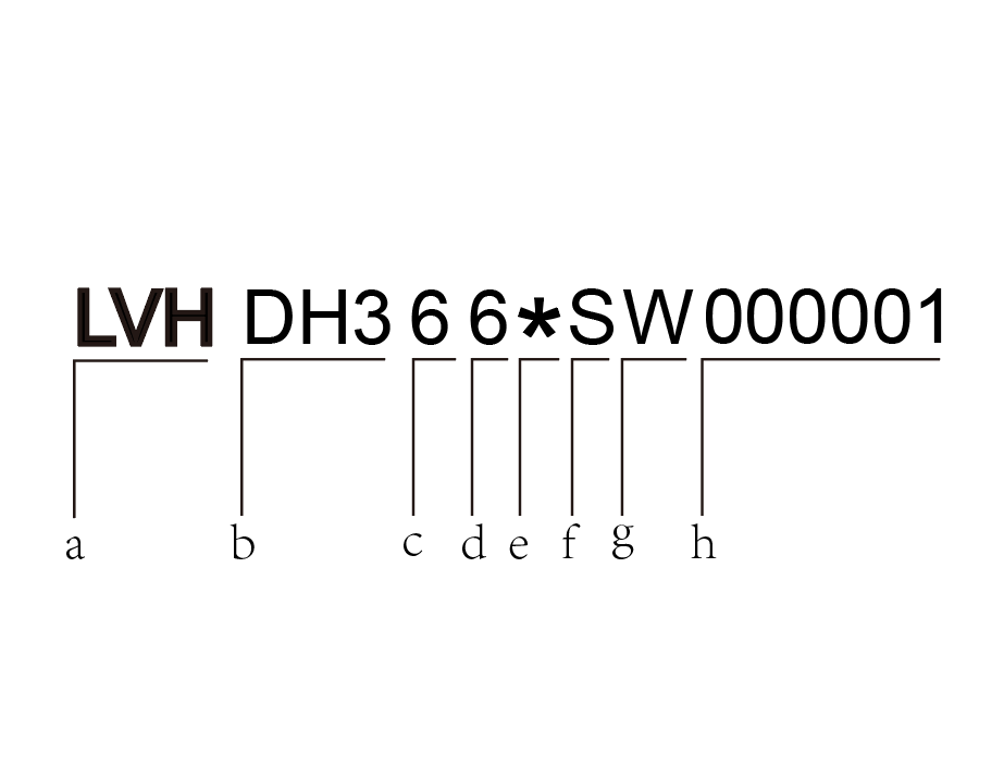 image-20240603203131272